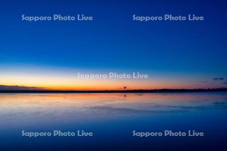 ウトナイ湖の朝焼け