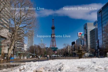 雪解けの大通公園　テレビ塔