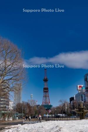 雪解けの大通公園　テレビ塔