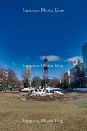雪解けの大通公園　テレビ塔