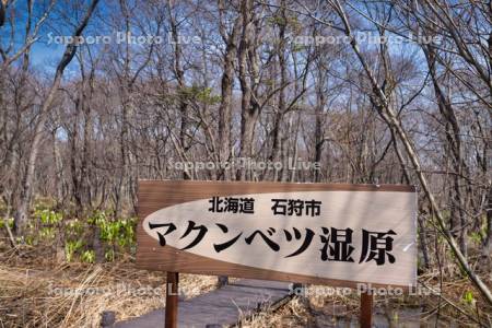 マクンベツ湿原