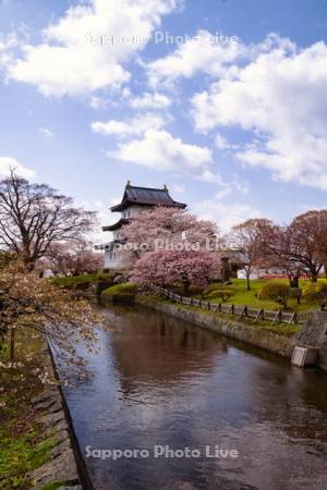 松前城と桜