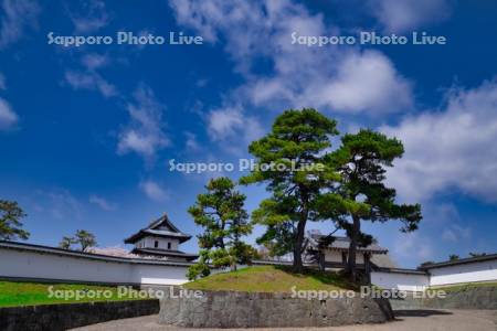 松前城と三本松土居