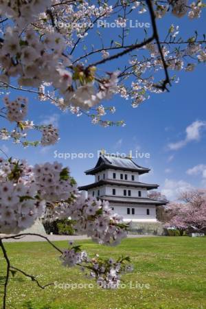 松前城と桜