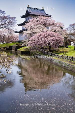 松前城と桜