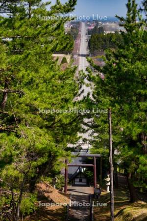 重内神社と重内さくらロード