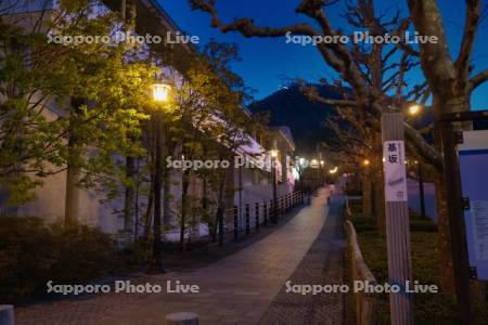 基坂と函館山夜景