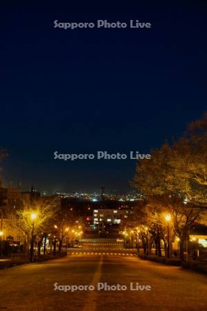 基坂夜景