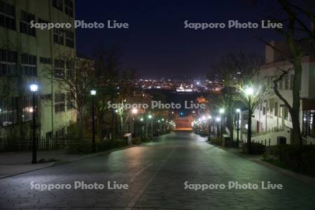 八幡坂夜景