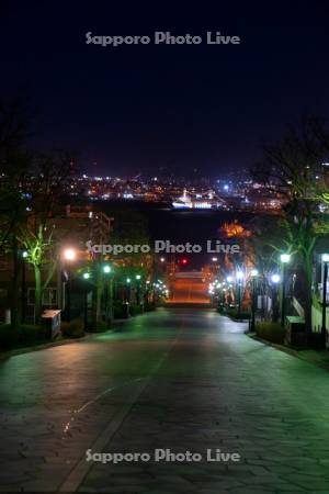 八幡坂夜景