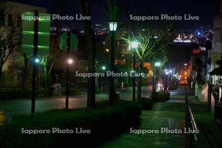 八幡坂夜景