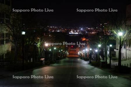 八幡坂夜景