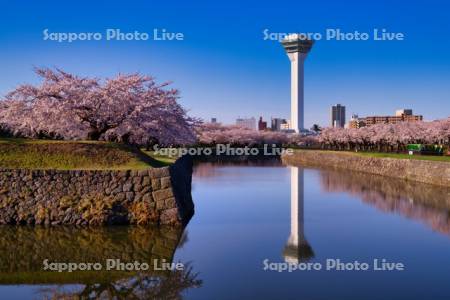 五稜郭公園　五稜郭タワー