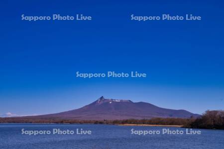 大沼と駒ヶ岳