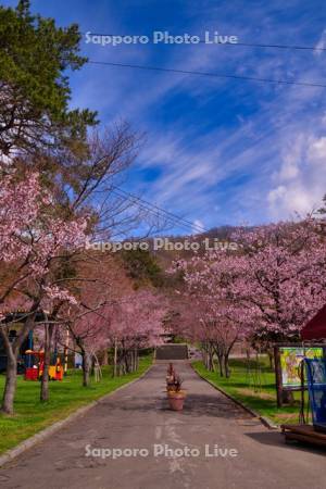 栗山公園
