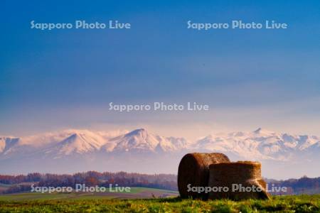 ロールと十勝岳連峰