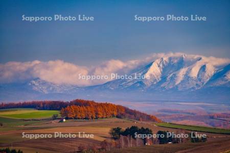 紅葉の丘と十勝岳連峰
