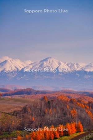 紅葉の丘と十勝岳連峰