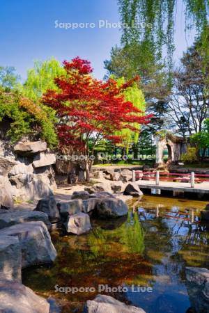 百合が原公園　庭園