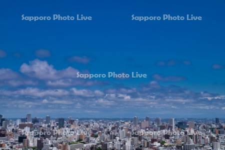旭山記念公園　市街展望