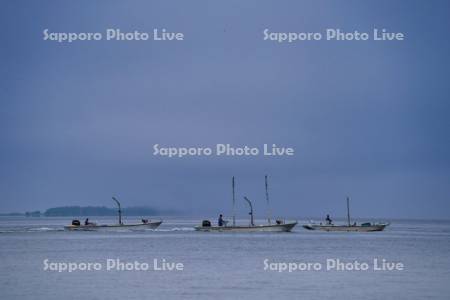野付半島　シマエビ漁