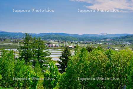 上野ファーム　射的山より田園風景