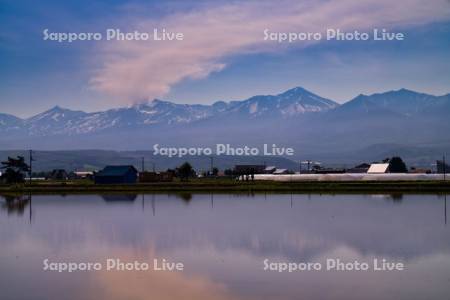 水田と十勝岳連峰