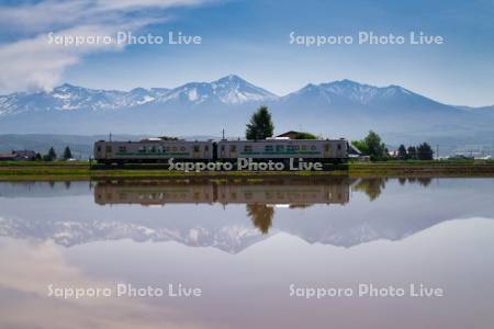 水田と十勝岳連峰と列車
