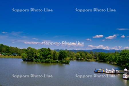 鶴沼公園