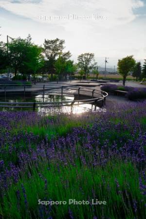 日の出公園