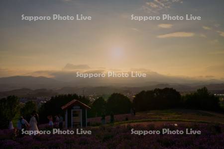 日の出公園夕景