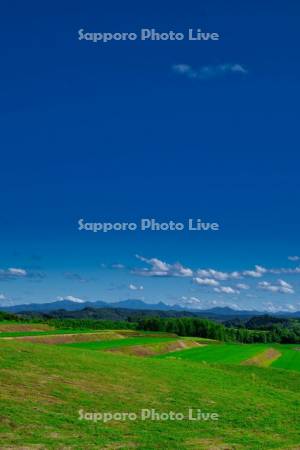 新城峠