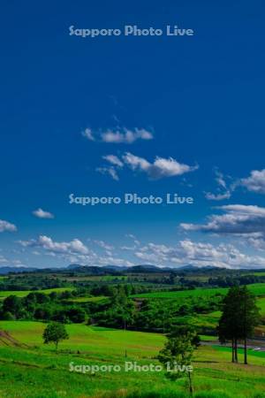 新城峠