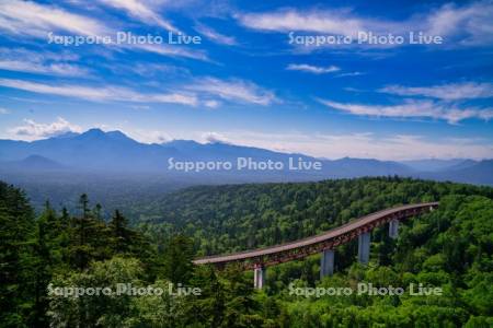 三国峠　松見大橋　R273