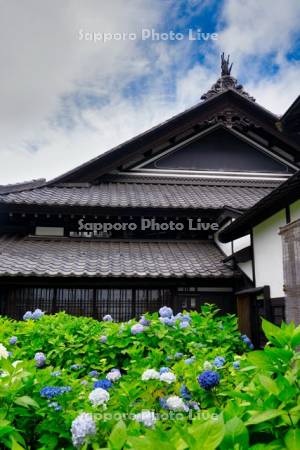 旧青山別邸あじさい園