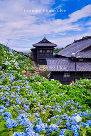 旧青山別邸あじさい園