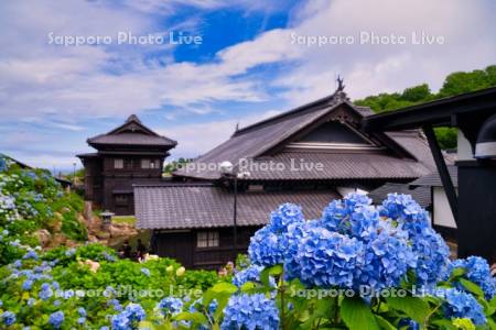 旧青山別邸あじさい園