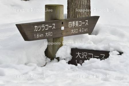 雪に埋まった表示板