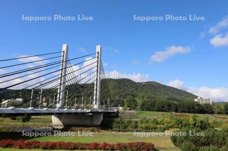 ミュンヘン大橋と藻岩山