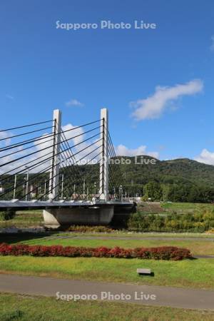 ミュンヘン大橋と藻岩山