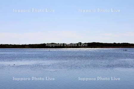 ウトナイ湖