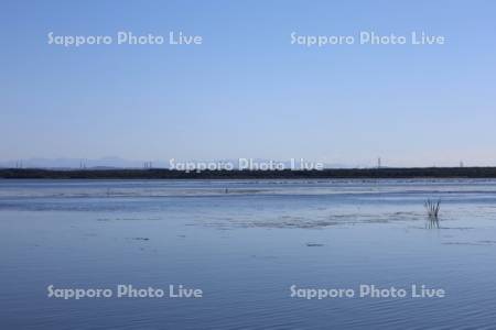 ウトナイ湖