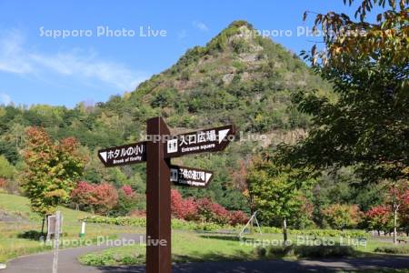 五天山公園