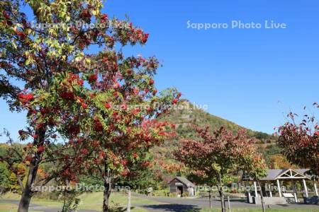 五天山公園