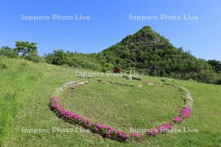 五天山公園　ハートの花壇