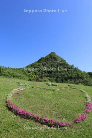 五天山公園　ハートの花壇