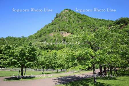 五天山公園