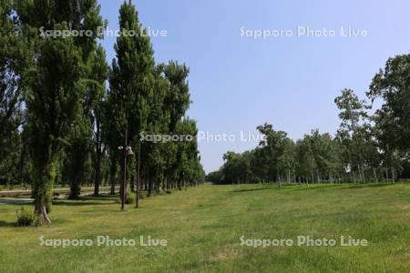 前田森林公園