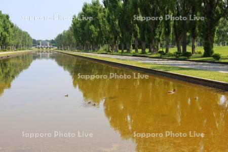 前田森林公園　カナール