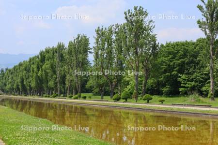 前田森林公園　カナール